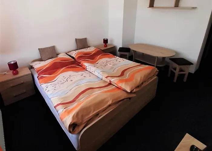 Guest house U Janicky 3*